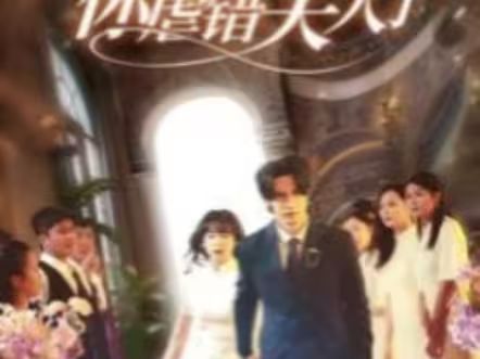 陸總住手吧，你虐錯夫人了(全集)