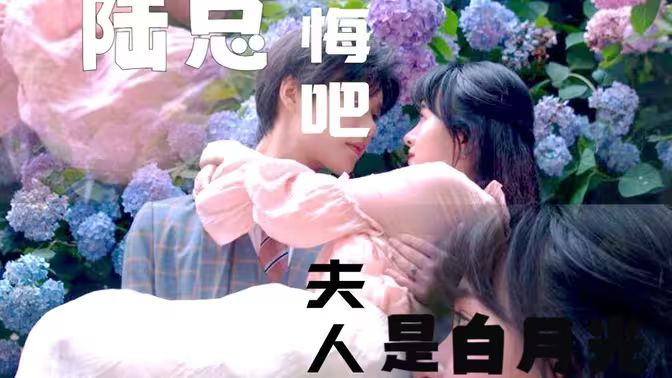 陸總懺悔吧，夫人才是白月光(全集)