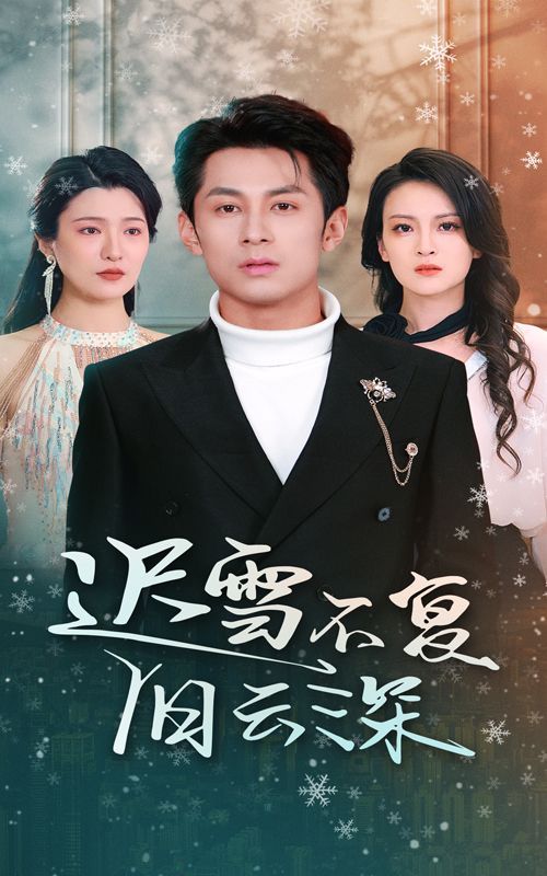 遲雪不復(fù)舊云深（當(dāng)年明月，負(fù)盡深雪）(全集)