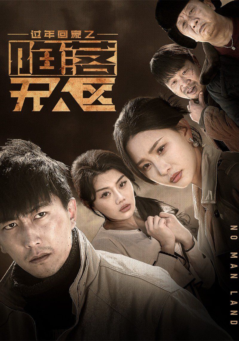 過(guò)年回家之陷落無(wú)人區(qū)-歸途迷蹤(全集)