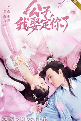 公子，我娶定你了(全集)