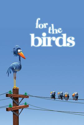 鳥(niǎo)！鳥(niǎo)！鳥(niǎo)！