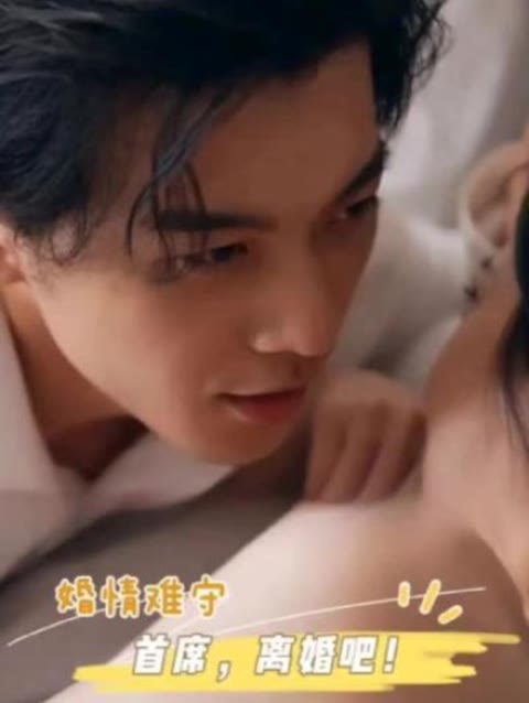 婚情難守：首席，離婚吧(全集)