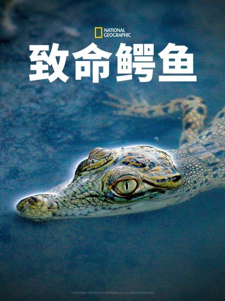 致命鱷魚(yú)(全集)