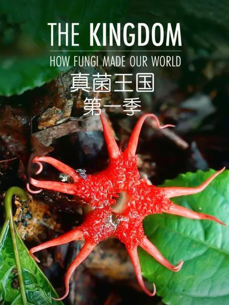 真菌王國第一季(全集)