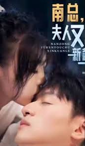 南總，夫人又出新款了(全集)