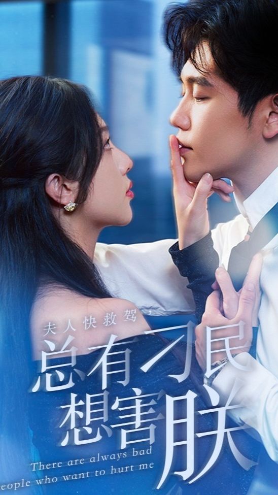夫人快救駕，總有刁民想害朕(全集)