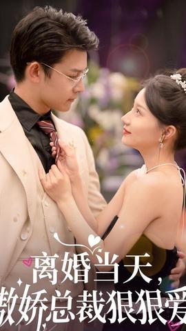 離婚當(dāng)天，傲嬌總裁狠狠愛(全集)