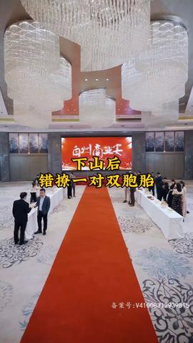 下山后，錯撩一對雙胞胎(全集)