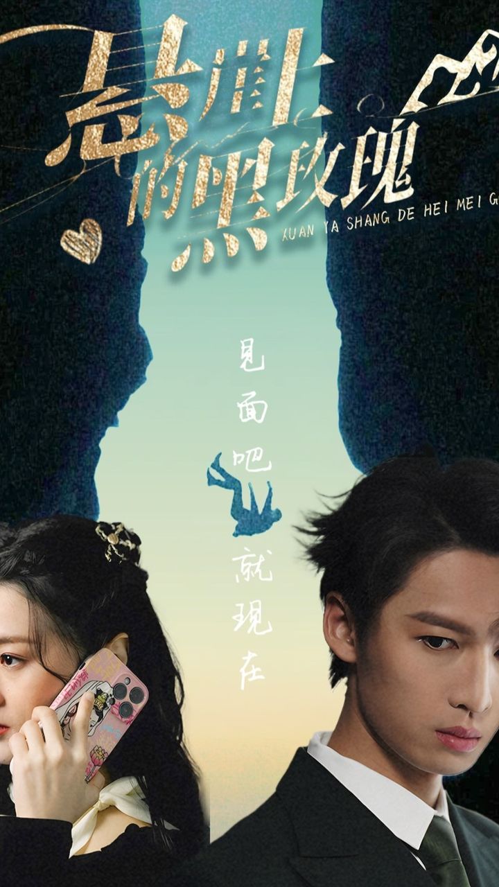 懸崖上的黑玫瑰101集(全集)
