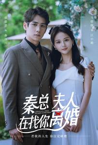 秦總，夫人在找你離婚(全集)