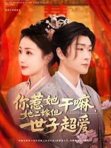 你惹她干嘛，她二嫁但世子超愛(全集)