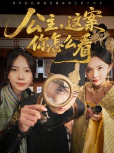 公主，這案你怎么看(全集)