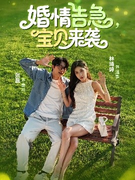 婚情告急，寶貝來(lái)襲(全集)