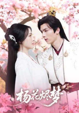 揚(yáng)花燼夢(mèng)(全集)