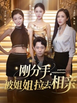 剛分手，被姐姐拉去相親(全集)