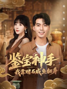鑒寶神手，我靠賭石咸魚翻身(全集)