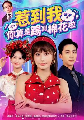 惹到我，你算是踢到棉花啦(全集)