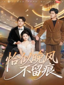 恰似晚風(fēng)不留痕(全集)